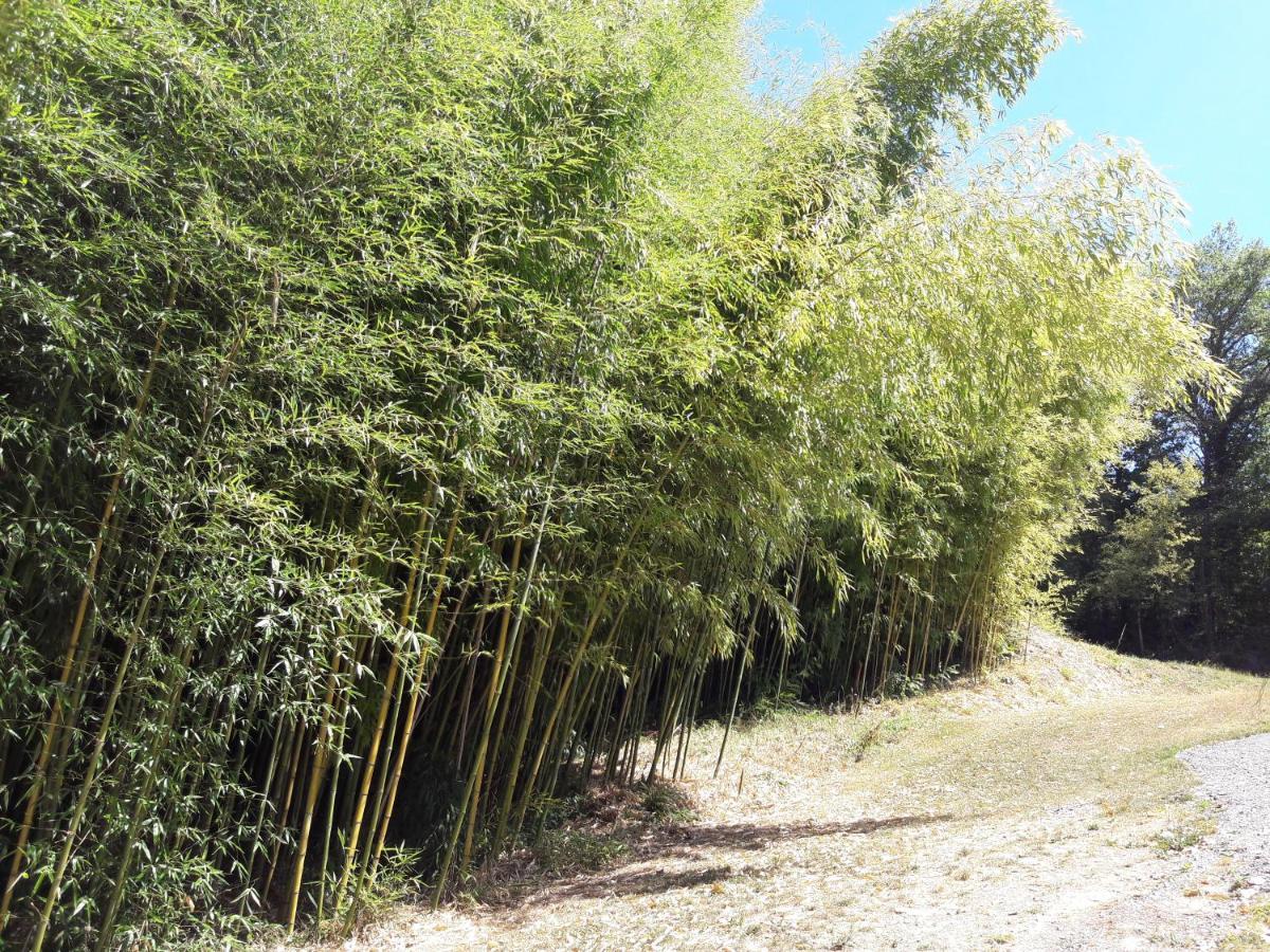 Domaine Le Mayne Chabrignac ภายนอก รูปภาพ