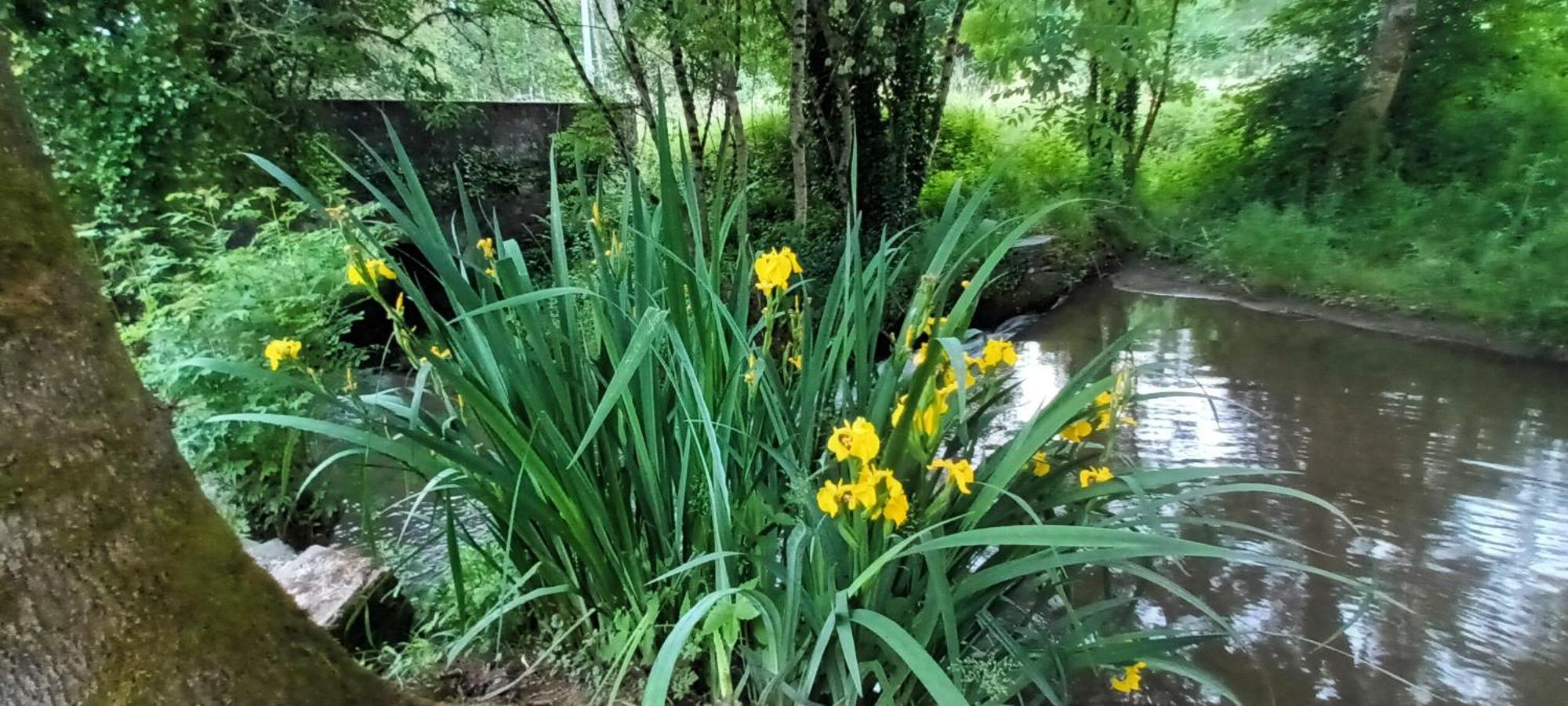 Domaine Le Mayne Chabrignac ภายนอก รูปภาพ