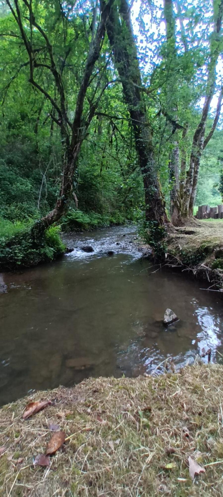 Domaine Le Mayne Chabrignac ภายนอก รูปภาพ